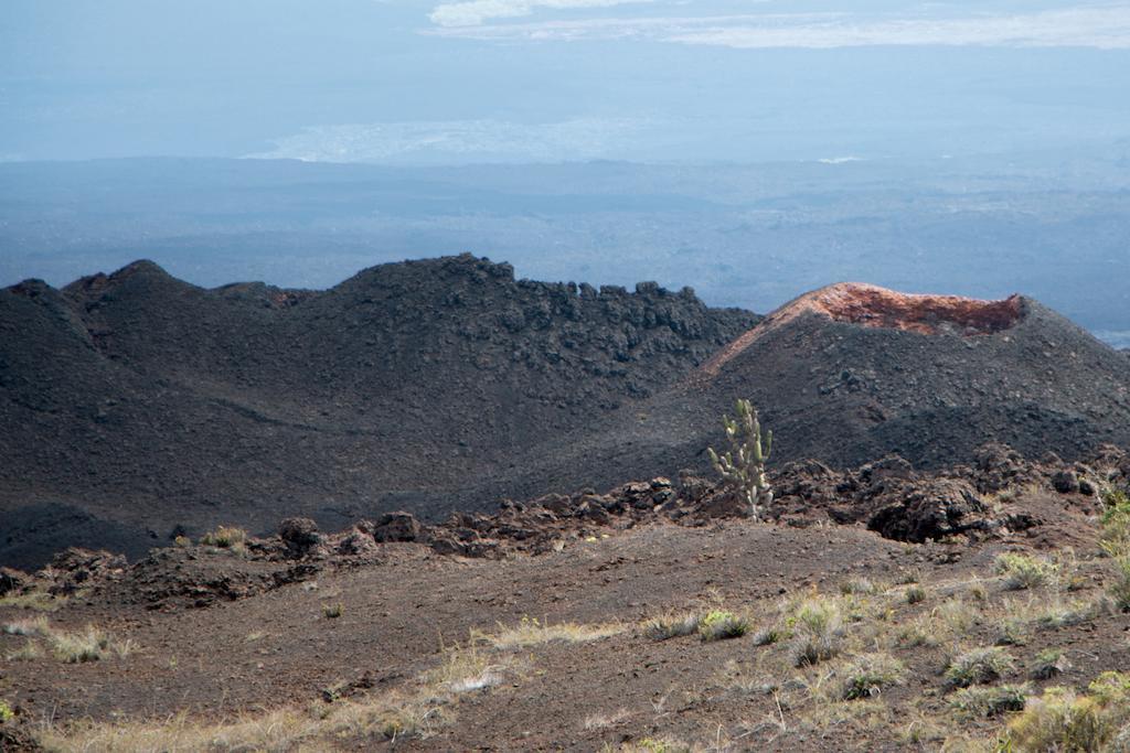 Chez Manany Galapagos Ecolodge Puerto Villamil Εξωτερικό φωτογραφία