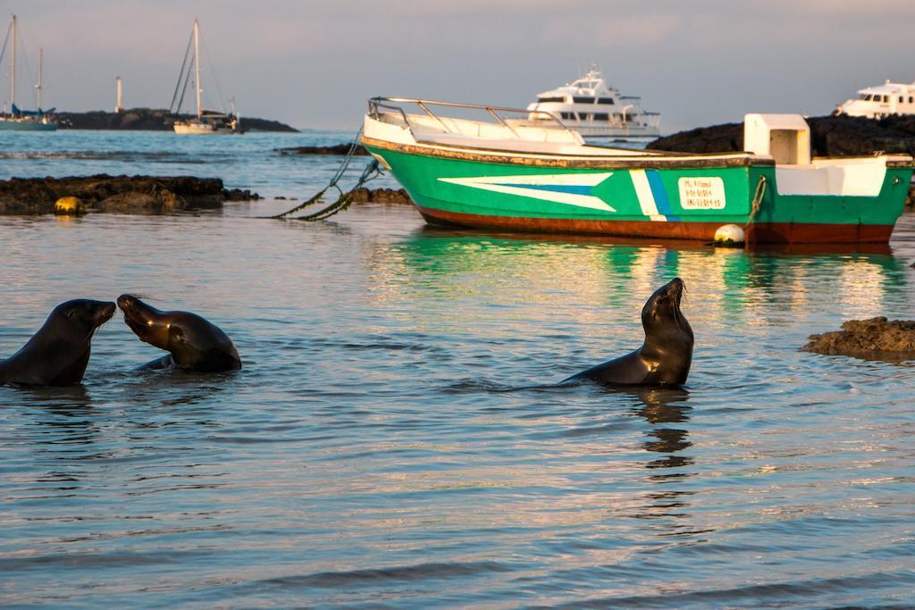 Chez Manany Galapagos Ecolodge Puerto Villamil Εξωτερικό φωτογραφία