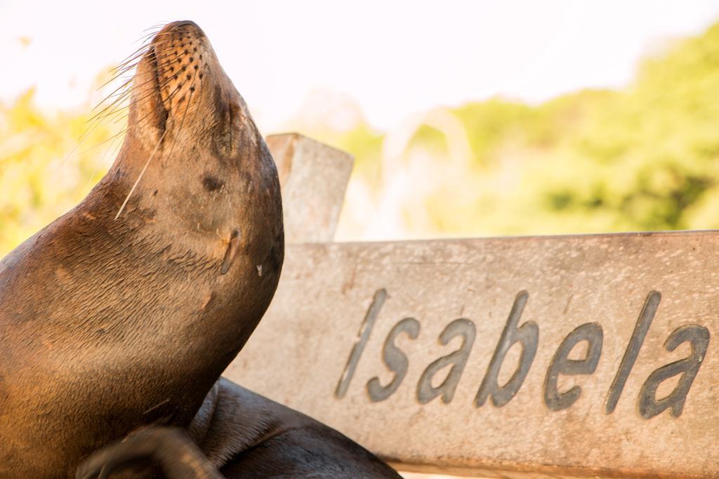 Chez Manany Galapagos Ecolodge Puerto Villamil Εξωτερικό φωτογραφία