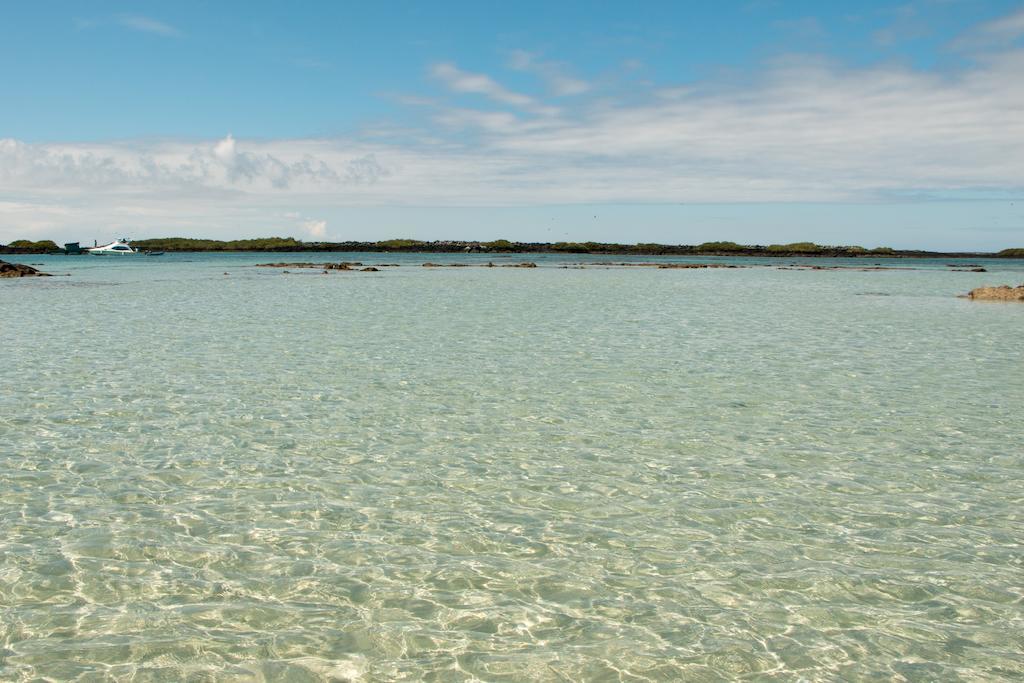 Chez Manany Galapagos Ecolodge Puerto Villamil Εξωτερικό φωτογραφία