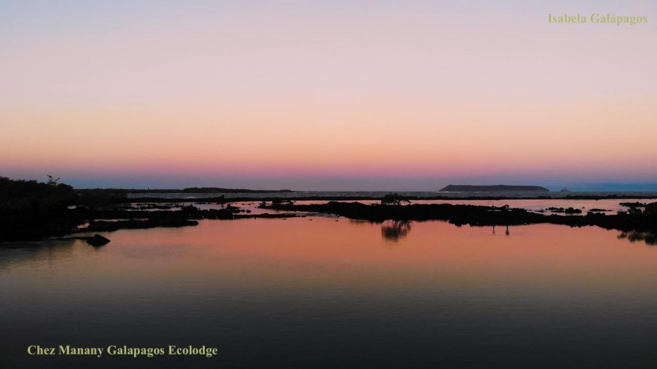 Chez Manany Galapagos Ecolodge Puerto Villamil Εξωτερικό φωτογραφία
